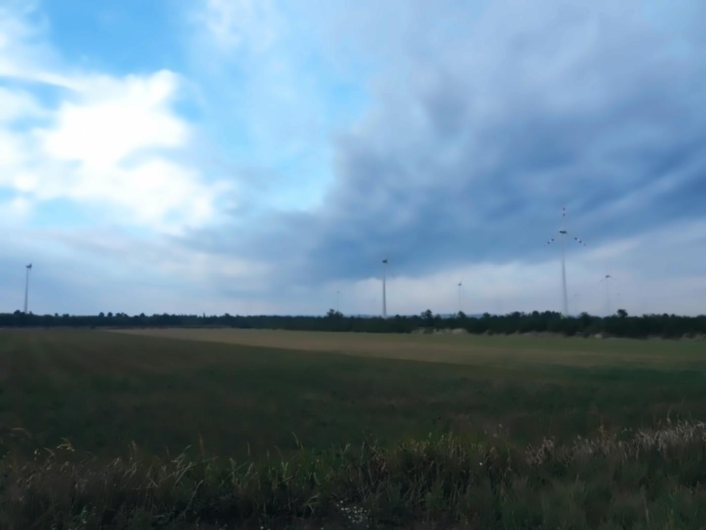 Session de travail collaborative sur projet environnemental