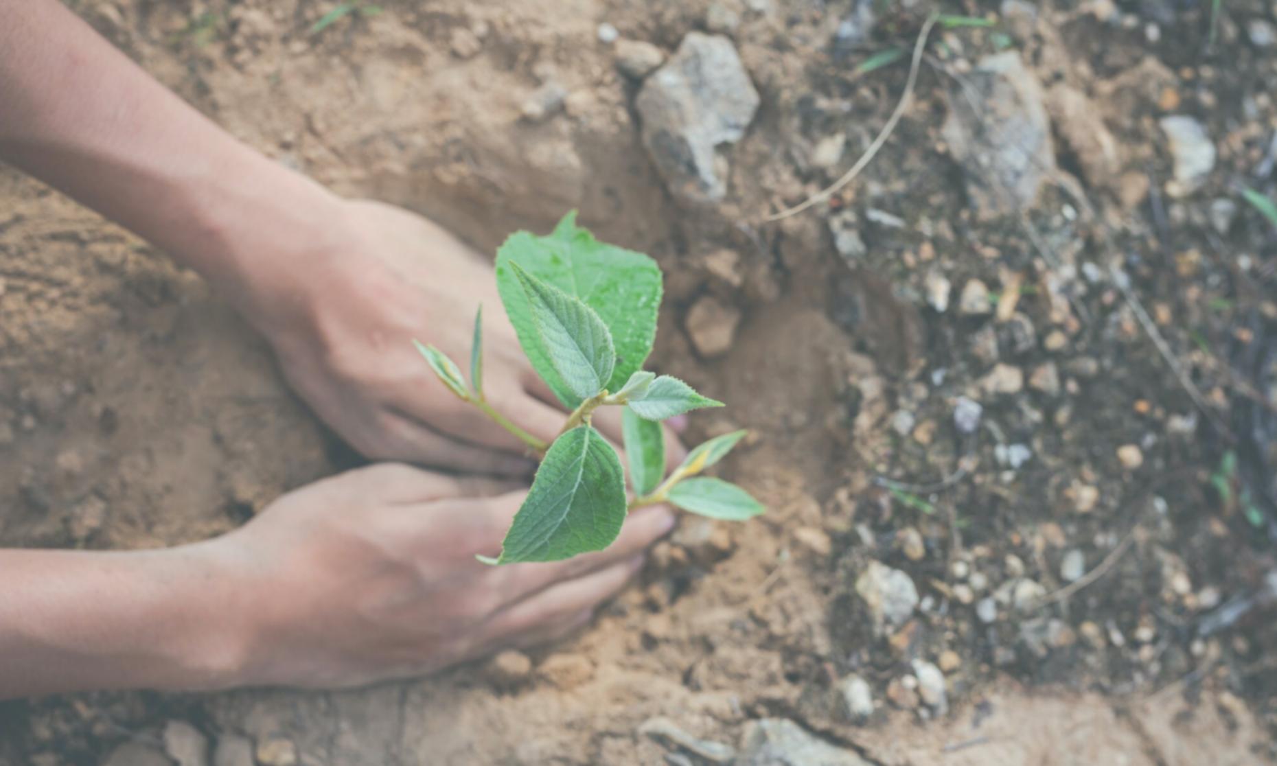 Atelier pratique de contrôle de pollution